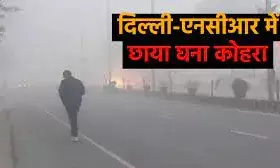 शून्य के इतने करीब पहुंचा पारा, 30 ट्रेनें लेट; कई फ्लाइट्स रद्द