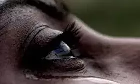 कमरे में बंधक बनाकर चार युवकों ने की दरिंदगी, आपबीती सुनकर सब हैरान कमरे में बंधक बनाकर चार युवकों ने की दरिंदगी, आपबीती सुनकर सब हैरान