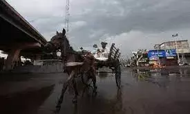 पूरे प्रदेश में छाए बादल, इन जिलों के लिए जारी हुई बारिश की चेतावनी, गिर सकते हैं ओले भी