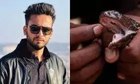 रेव पार्टी में इस्तेमाल होता था सांपों का जहर, FSL रिपोर्ट से चौंकाने वाला खुलासा; कसेगा शिकंजा रेव पार्टी में इस्तेमाल होता था सांपों का जहर, FSL रिपोर्ट से चौंकाने वाला खुलासा; कसेगा शिकंजा