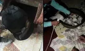 जाम में फंसे लुटेरे...भागने के लिए हवा में उछाल दिया नोटों से भरा बैग; ऐसे दिया पुलिस को चकमा