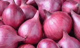 Onion Export:  प्याज की कीमतों में 40 फीसदी का इजाफा दो दिन में ही, सरकार ने यह कहकर दी राहत
