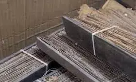 1,000 साल पुरानी पांडुलिपियां सड़कर नष्ट, दुर्लभ ताड़पत्र चाट गई दीमक; संग्रहालय में हावी है सियासत