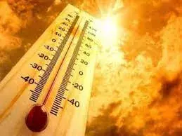 तैयार रहें... इस साल झेलनी होगी ज्यादा गर्मी, हीटवेव की संख्या हो सकती है ज्यादा तैयार रहें... इस साल झेलनी होगी ज्यादा गर्मी, हीटवेव की संख्या हो सकती है ज्यादा