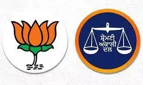 ढींडसा की वापसी ने शिअद-भाजपा गठबंधन की रखी नींव, पंजाब की राजनीतिक पिच जल्द उतर सकती हैं दोनों पार्टियां