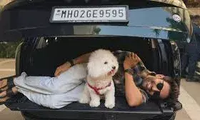 कार्तिक आर्यन ने खरीदी करोड़ों की लग्जरी कार, मजेदार अंदाज में फैंस के साथ साझा की तस्वीर कार्तिक आर्यन ने खरीदी करोड़ों की लग्जरी कार, मजेदार अंदाज में फैंस के साथ साझा की तस्वीर