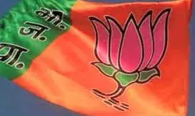 बीस साल में भाजपा ने लगाई 33 फीसदी की छलांग...चुनावी रणनीति को दी लगातार धार