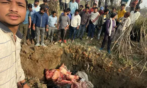 पशु अवशेष ले जा रहे छोटा हाथी टेंपो को पड़ा, हिंदू संगठनों ने कार्रवाई की मांग की