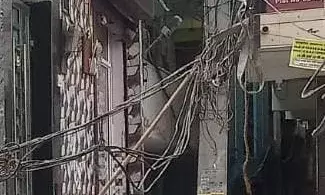 खोड़ा में सड़कों पर मौत बनकर दौड़ रहा है बिजली का तार