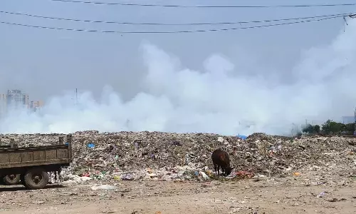 कूड़े में आग लगने से निकला जहरीला धुआं, आसपास के लोगों को सांस लेने में हुई परेशानी कूड़े में आग लगने से निकला जहरीला धुआं, आसपास के लोगों को सांस लेने में हुई परेशानी