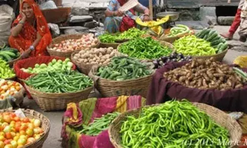 साहिबाबाद सब्जी मंडी में आसमान पर पहुंचा भिंडी का दाम, जाने क्यों हुआ ऐसा