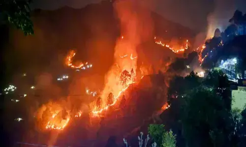 नैनीताल के जंगलों में भीषण आग ,उत्तराखंड के मुख्यमंत्री पुष्कर धामी ने कहा भीषण आग पर जल्द काबू पा लिया जाएगा