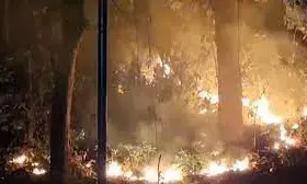 आग की वजह से पर्यटक नहीं  कर रहे नैनीताल का रूख, सैकड़ों होटल की बुकिंग कैंसिल