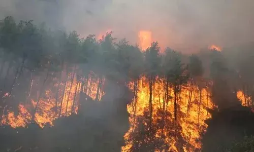 उत्तराखंड सरकार भड़की जंगल की आग को नियंत्रित करने के लिए हटाएगी पिरुल
