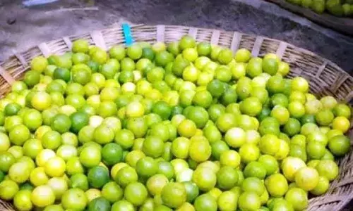 भीषण गर्मी में नींबू पीले से हुआ लाल, मंडी में पहुंचा सौ के पार, जाने कब तक मिलेगी राहत भीषण गर्मी में नींबू पीले से हुआ लाल, मंडी में पहुंचा सौ के पार, जाने कब तक मिलेगी राहत