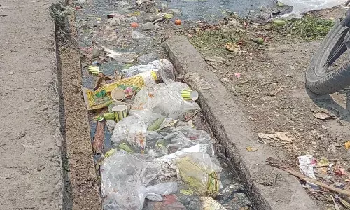 साहिबाबाद फल सब्जी मंडी का गंदगी से है बुरा हाल, ग्राहक और व्यापारी हो रहे हैं परेशान