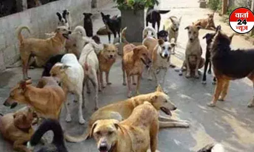 कुत्तों के झुंड ने करीब 10 मिनट तक 3 साल के मासूम बच्ची को नोचा, इलाज के दौरान मौत