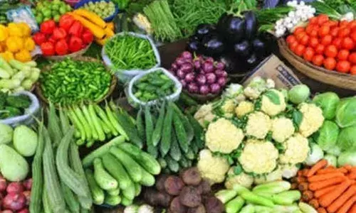 सूरज की तपिश ने रसोई का बजट बिगाड़ा, गर्मी में आवक कम होने से बढ़े सब्जियों के दाम, जाने कब मिलेगी राहत सूरज की तपिश ने रसोई का बजट बिगाड़ा, गर्मी में आवक कम होने से बढ़े सब्जियों के दाम, जाने कब मिलेगी राहत