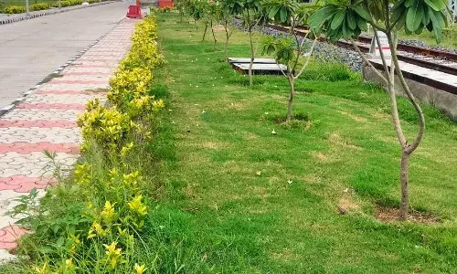 आरआरटीएस कॉरिडोर को ईको फ्रेंडली बनाने के लिए साहिबाबाद से शताब्दी नगर, मेरठ तक लगाए पौधे, पौधों की सख्या जानकर हो जाएंगे हैरान! आरआरटीएस कॉरिडोर को ईको फ्रेंडली बनाने के लिए साहिबाबाद से शताब्दी नगर, मेरठ तक लगाए पौधे, पौधों की सख्या जानकर हो जाएंगे हैरान!