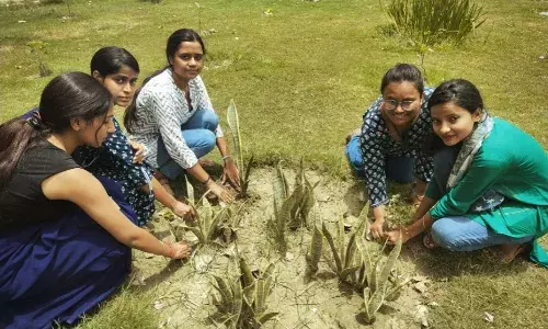 आज के समय में वृक्षों का महत्व पहले से कहीं अधिक बढ़ गया है