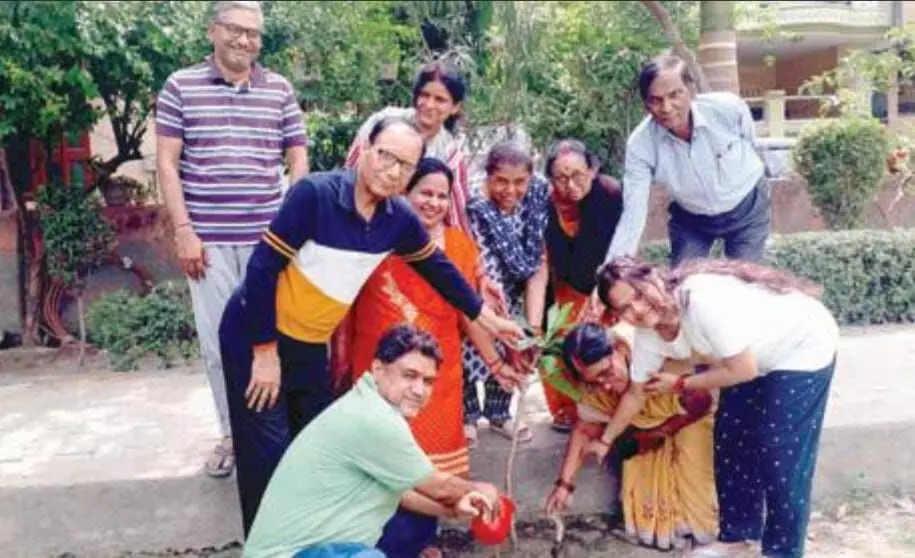 ट्रांस हिंडन आरडब्ल्यूए फेडरेशन की ओर से पौधारोपण कार्यक्रम का आयोजन, पर्यावरण बचाओ का दिया संदेश