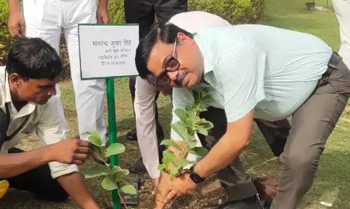 गाजियाबाद में इस साल लगाए जाएंगे एक लाख पौधे, जीडीए ने दिए निर्देश गाजियाबाद में इस साल लगाए जाएंगे एक लाख पौधे, जीडीए ने दिए निर्देश