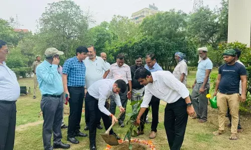 कलेक्ट्रेट से गोविंदपुरम तक ग्रीन बेल्ट में 15000 से अधिक रोपे जाएंगे पौधे कलेक्ट्रेट से गोविंदपुरम तक ग्रीन बेल्ट में 15000 से अधिक रोपे जाएंगे पौधे