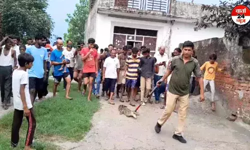 सड़क पर घूमता नजर आया मगरमच्छ, वन विभाग की टीम ने गंगा में छोड़ा