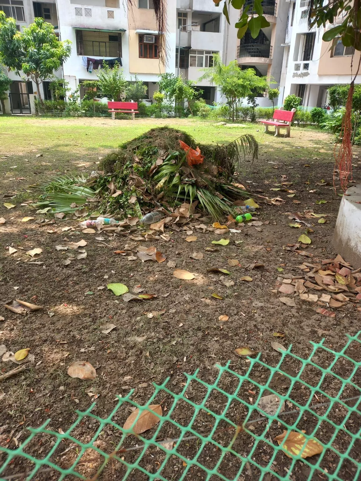 हार्टिकल्चर वेस्ट नहीं उठा रहा नगर निगम हार्टिकल्चर वेस्ट नहीं उठा रहा नगर निगम