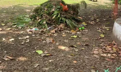 हार्टिकल्चर वेस्ट नहीं उठा रहा नगर निगम