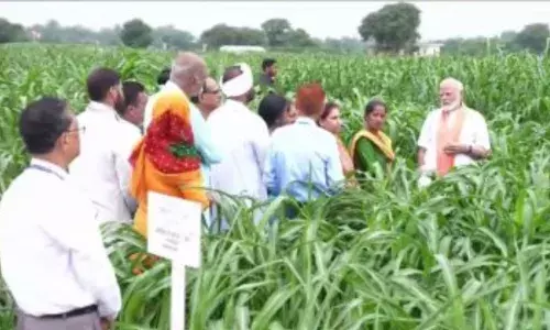 पीएम मोदी ने जारी की 109 उन्नत बीजों की किस्में, किसानों और वैज्ञानिकों से की बातचीत पीएम मोदी ने जारी की 109 उन्नत बीजों की किस्में, किसानों और वैज्ञानिकों से की बातचीत