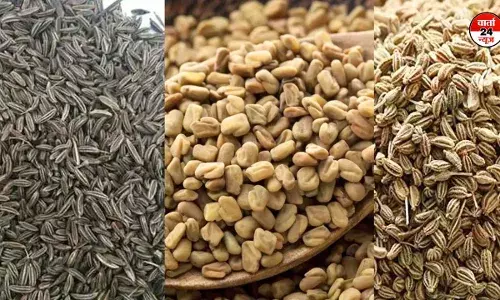 सब रोगों का एक उपचार! एक दवा- जिसे आजमा कर देखिए... जीवन जीने योग्य बनेगा सब रोगों का एक उपचार! एक दवा- जिसे आजमा कर देखिए... जीवन जीने योग्य बनेगा