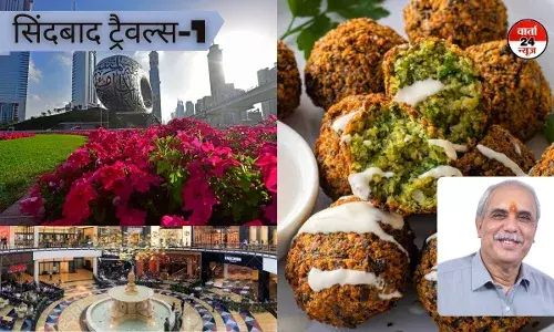 यात्रा संस्मरण: जब जाना दुबई और अन्य अरब देशों में खूबसूरत हरियाली का राज, काश! भारत में भी...