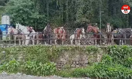 नैनीतील में पचास दिनों से घुड़सवारी बंद, घोड़ा संचालकों पर रोजी रोटी का संकट, पर्यटक भी परेशान नैनीतील में पचास दिनों से घुड़सवारी बंद, घोड़ा संचालकों पर रोजी रोटी का संकट, पर्यटक भी परेशान