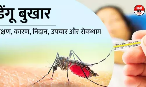 डेंगू बुखार- कारण, लक्षण, निदान और इलाज डेंगू बुखार- कारण, लक्षण, निदान और इलाज