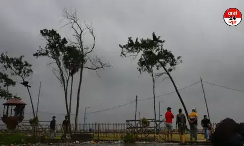 ओडिशा से पश्चिम बंगाल में दाना तूफान ने मचाई तबाही, केंद्र सरकार ने दिया मदद का आश्वासन ओडिशा से पश्चिम बंगाल में दाना तूफान ने मचाई तबाही, केंद्र सरकार ने दिया मदद का आश्वासन