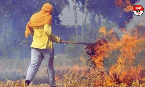 हवा में जहर घोलने वाले सावधान! केंद्र सरकार ने पराली जलाने पर अब 30 हजार रुपये तक लगाया जुर्माना हवा में जहर घोलने वाले सावधान! केंद्र सरकार ने पराली जलाने पर अब 30 हजार रुपये तक लगाया जुर्माना