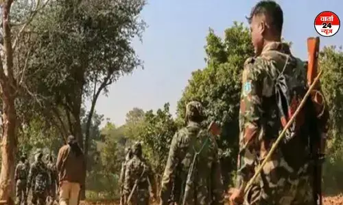 छत्तीसगढ़ के बीजापुर में सुरक्षाकर्मियों और नक्सलियों के बीच मुठभेड़, दो नक्सलियों को मार गिराया छत्तीसगढ़ के बीजापुर में सुरक्षाकर्मियों और नक्सलियों के बीच मुठभेड़, दो नक्सलियों को मार गिराया