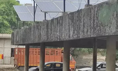 700 सोलर पैनल खराब, नवीन मंडी में बिजली बिल कम करने की योजना फेल 700 सोलर पैनल खराब, नवीन मंडी में बिजली बिल कम करने की योजना फेल