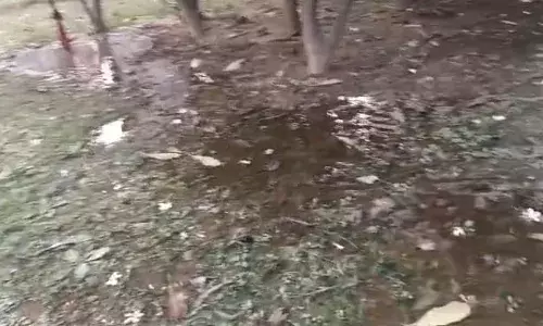 घर में पीने को पानी नहीं, पार्क में बह रहा है पेयजल