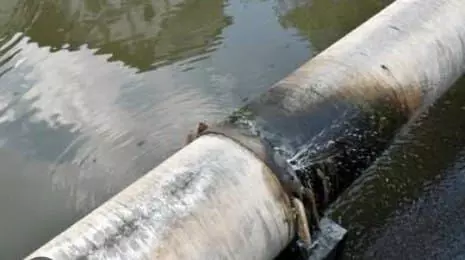 पाइपलाइन फटने से हजारों लीटर पानी बर्बाद, सड़कों पर हुआ पानी पानी पाइपलाइन फटने से हजारों लीटर पानी बर्बाद, सड़कों पर हुआ पानी पानी