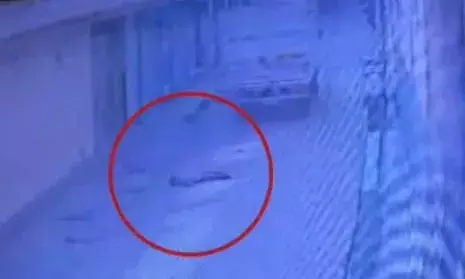 गाजियाबाद में टाटा मैजिक से मासूम की मौत, सीसीटीवी में कैद हुई घटना