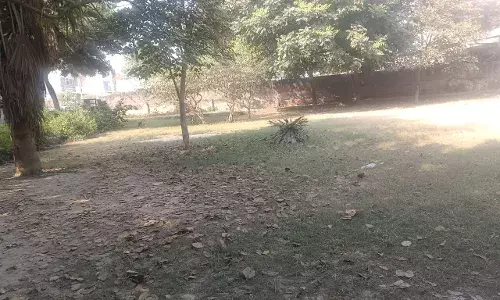 गाजियाबाद में 10 पार्कों में डमरु, सितार, तबला सहित संगीत से बनाए जाएंगे यंत्र गाजियाबाद में 10 पार्कों में डमरु, सितार, तबला सहित संगीत से बनाए जाएंगे यंत्र