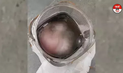 लखनऊ एयरपोर्ट पर एक प्लास्टिक के डिब्बे में मिला नवजात का शव, जानें कौन लेकर आया था लखनऊ एयरपोर्ट पर एक प्लास्टिक के डिब्बे में मिला नवजात का शव, जानें कौन लेकर आया था