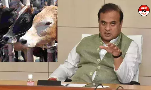 असम में गोमांस पर प्रतिबंध को लेकर शिवसेना (यूबीटी) नेताओं ने कहा- असम में बैन तो गोवा, अरुणाचल प्रदेश, नागालैंड, मिजोरम और मणिपुर में क्यों नहीं?