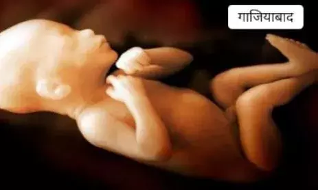 शौचालय के पाइप से मिला करीब छह माह का भ्रूण, डीएनए जांच से होगा भ्रूण के लिंग का खुलासा, पुलिस ने पोस्टमार्टम के लिए भेजा शौचालय के पाइप से मिला करीब छह माह का भ्रूण, डीएनए जांच से होगा भ्रूण के लिंग का खुलासा, पुलिस ने पोस्टमार्टम के लिए भेजा