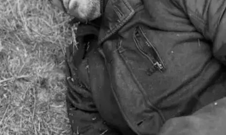 घोड़ा बुग्गी स्वामी की नाले में गिरकर मौत, घोड़े की भी गई जान घोड़ा बुग्गी स्वामी की नाले में गिरकर मौत, घोड़े की भी गई जान