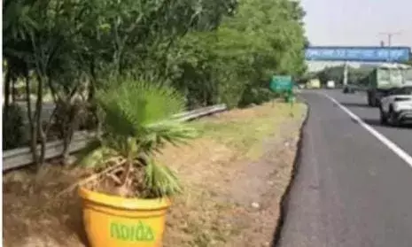 Expensive plants stolen: नोएडा एक्सप्रेसवे पर चोरी हुए महंगे पौधे, सीसीटीवी में कैद Expensive plants stolen: नोएडा एक्सप्रेसवे पर चोरी हुए महंगे पौधे, सीसीटीवी में कैद