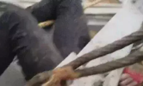 प्रयागराज में 100 फीट ऊंचा टावर गिरा 8 मजदूर जख्मी 2 नीचे दबे, एक का पैर कटकर अलग प्रयागराज में 100 फीट ऊंचा टावर गिरा 8 मजदूर जख्मी 2 नीचे दबे, एक का पैर कटकर अलग