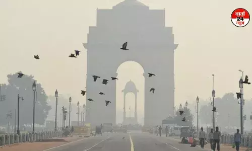 शीतलहर में साल को सलाम! कल बारिश कहेगी हैप्पी न्यू ईयर शीतलहर में साल को सलाम! कल बारिश कहेगी हैप्पी न्यू ईयर